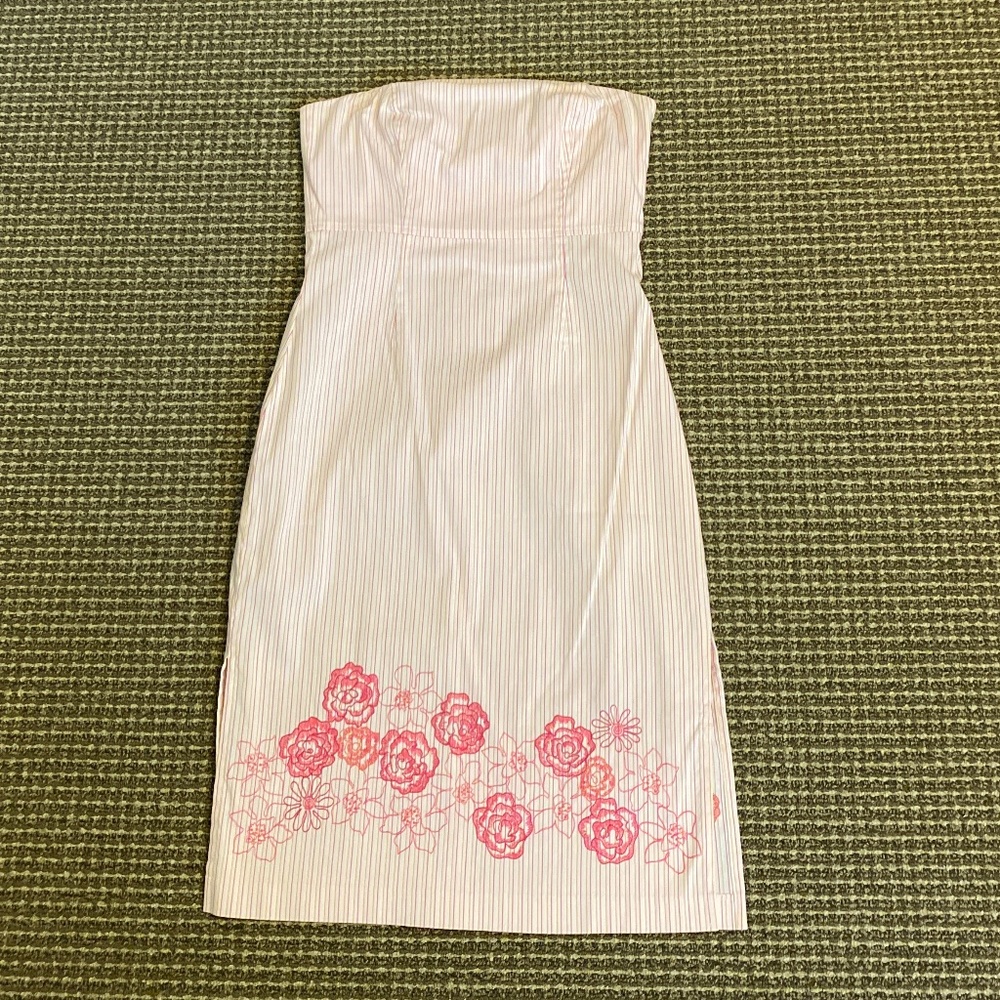 Express Size 8 Bodycon Dress